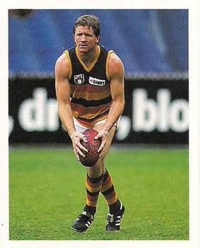 1993 Select AFL Stickers #22 Chris McDermott Front